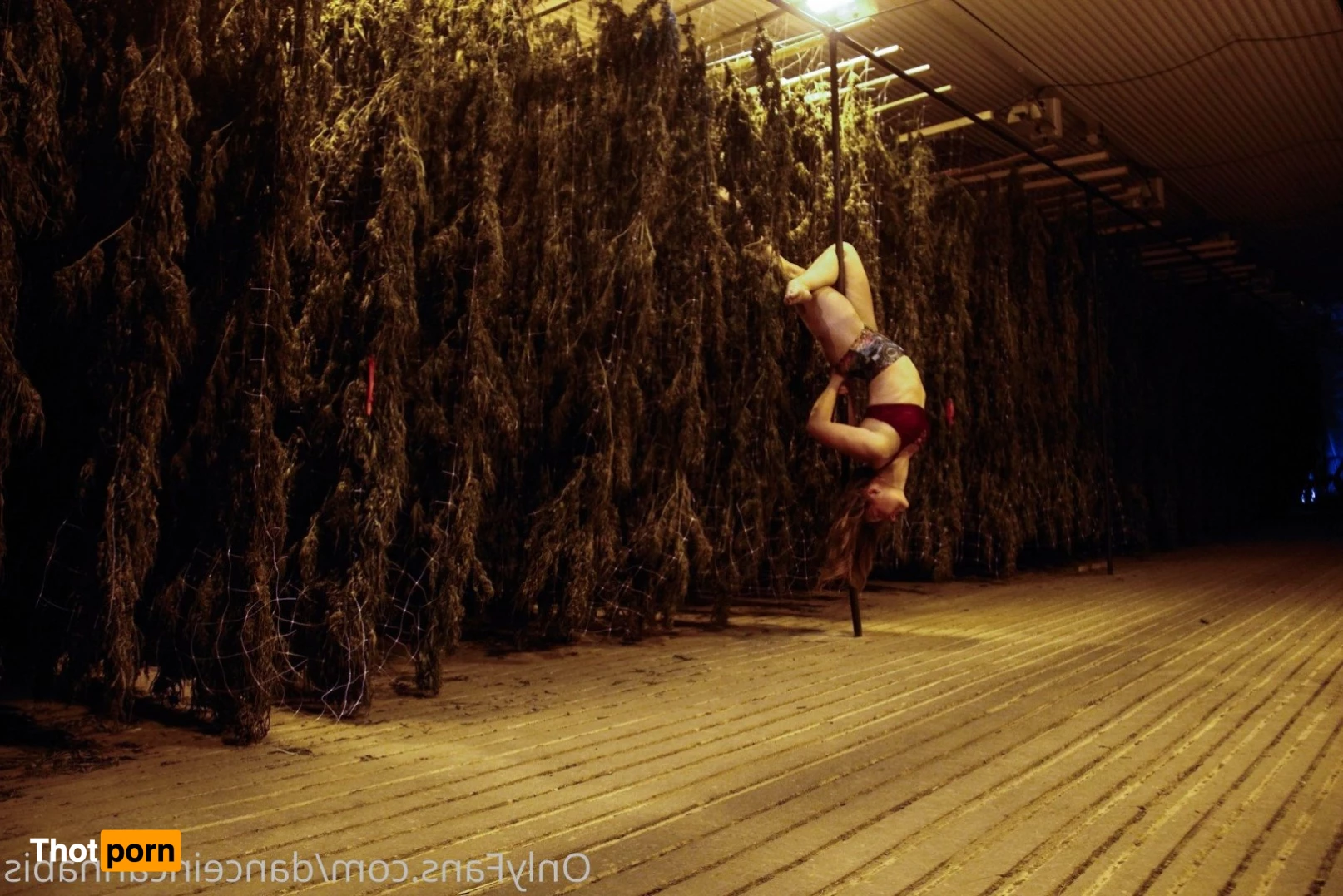 Juliet Jones 5128150