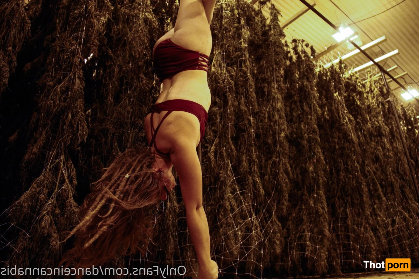 Juliet Jones 5128284