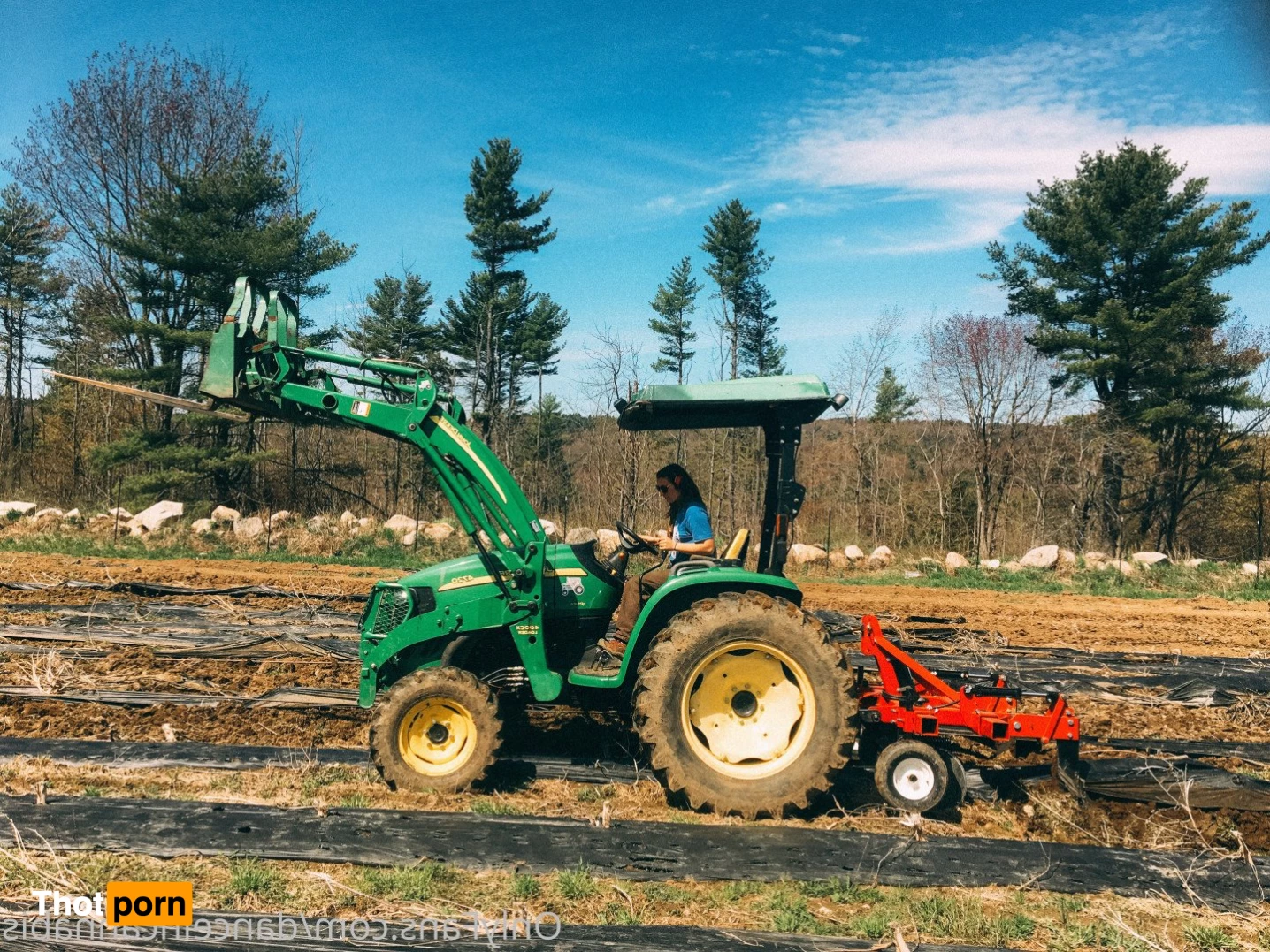 Juliet Jones 5128410