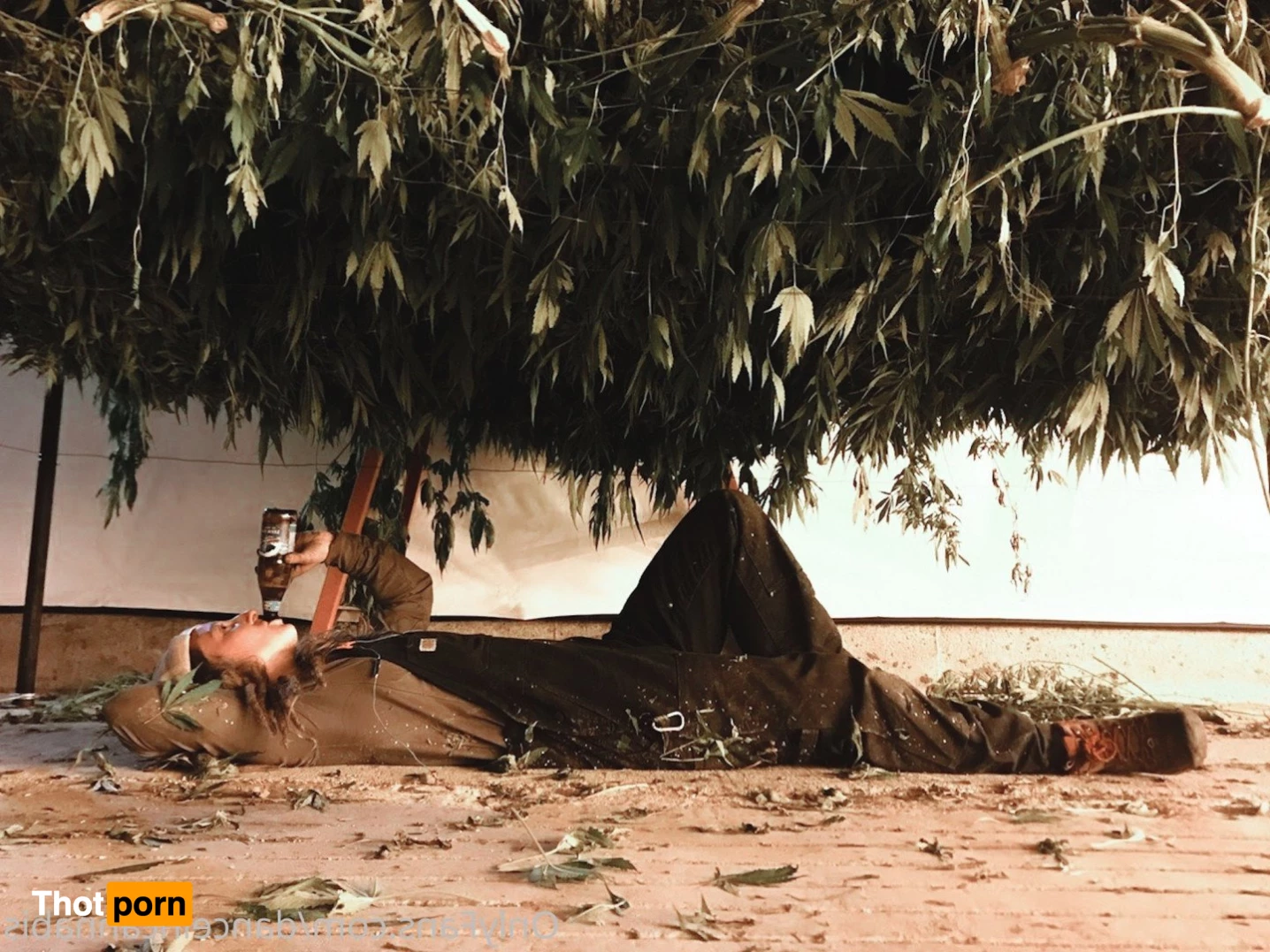 Juliet Jones 5128474