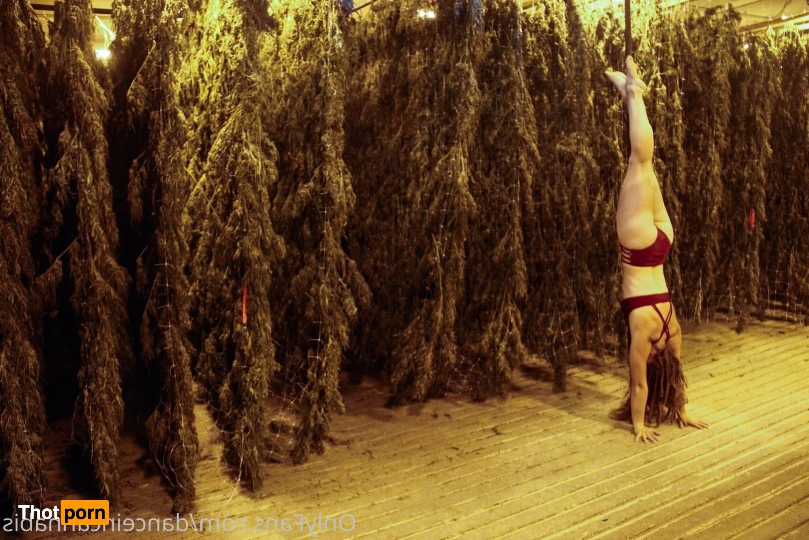 Juliet Jones 5128494