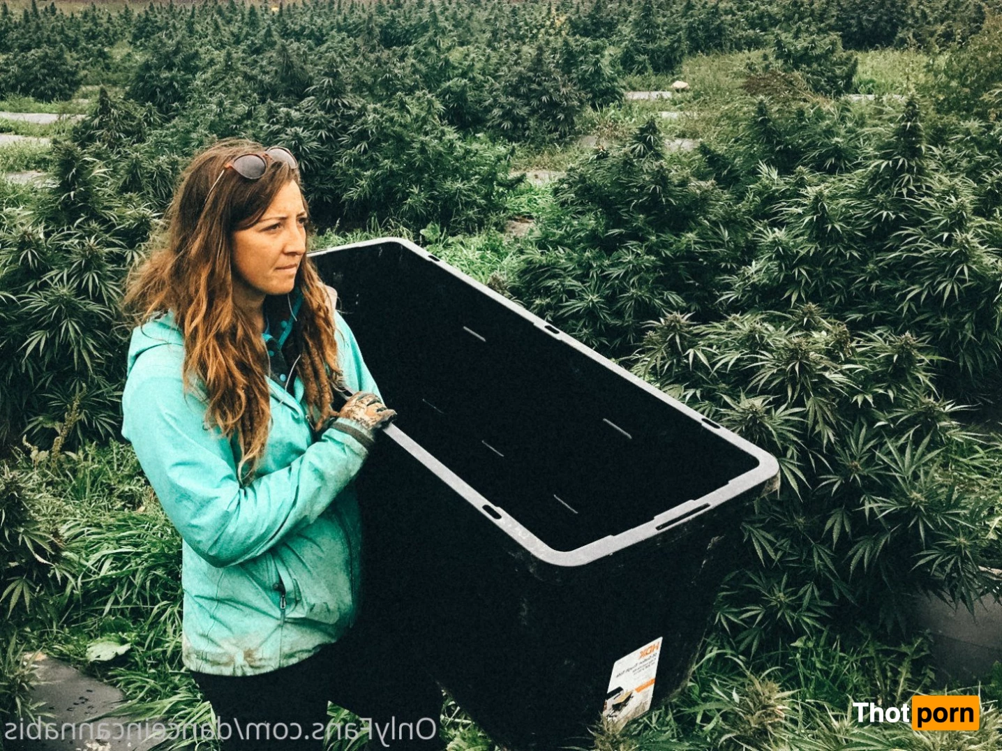 Juliet Jones 5128617