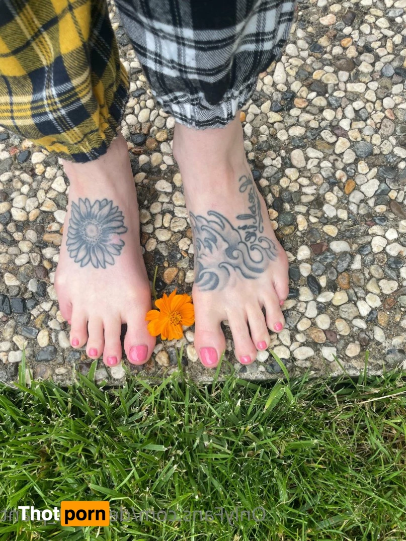 Decrepit_Plant 5191475