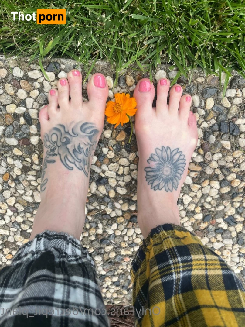 Decrepit_Plant 5191599