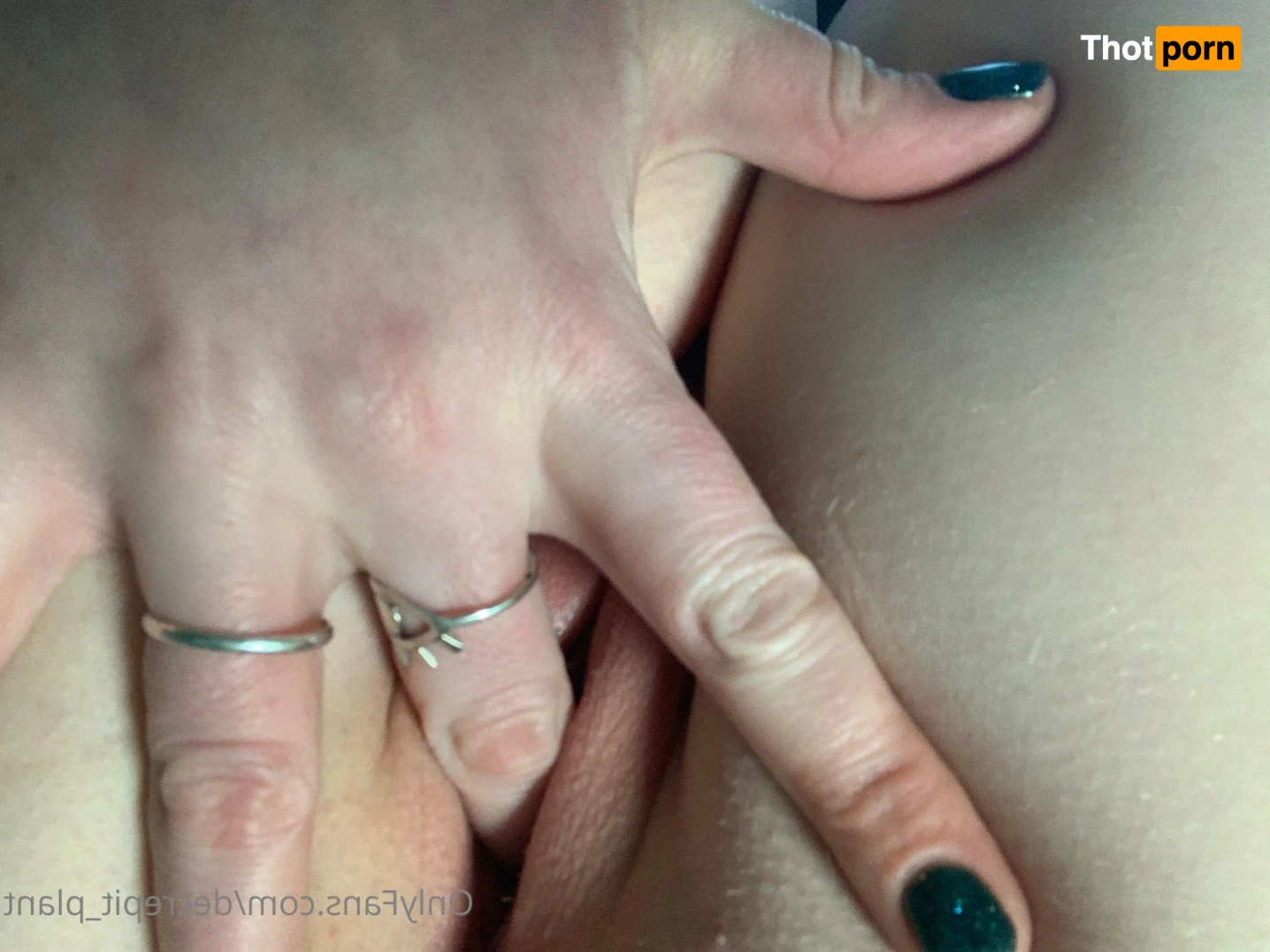 Decrepit_Plant 5191710