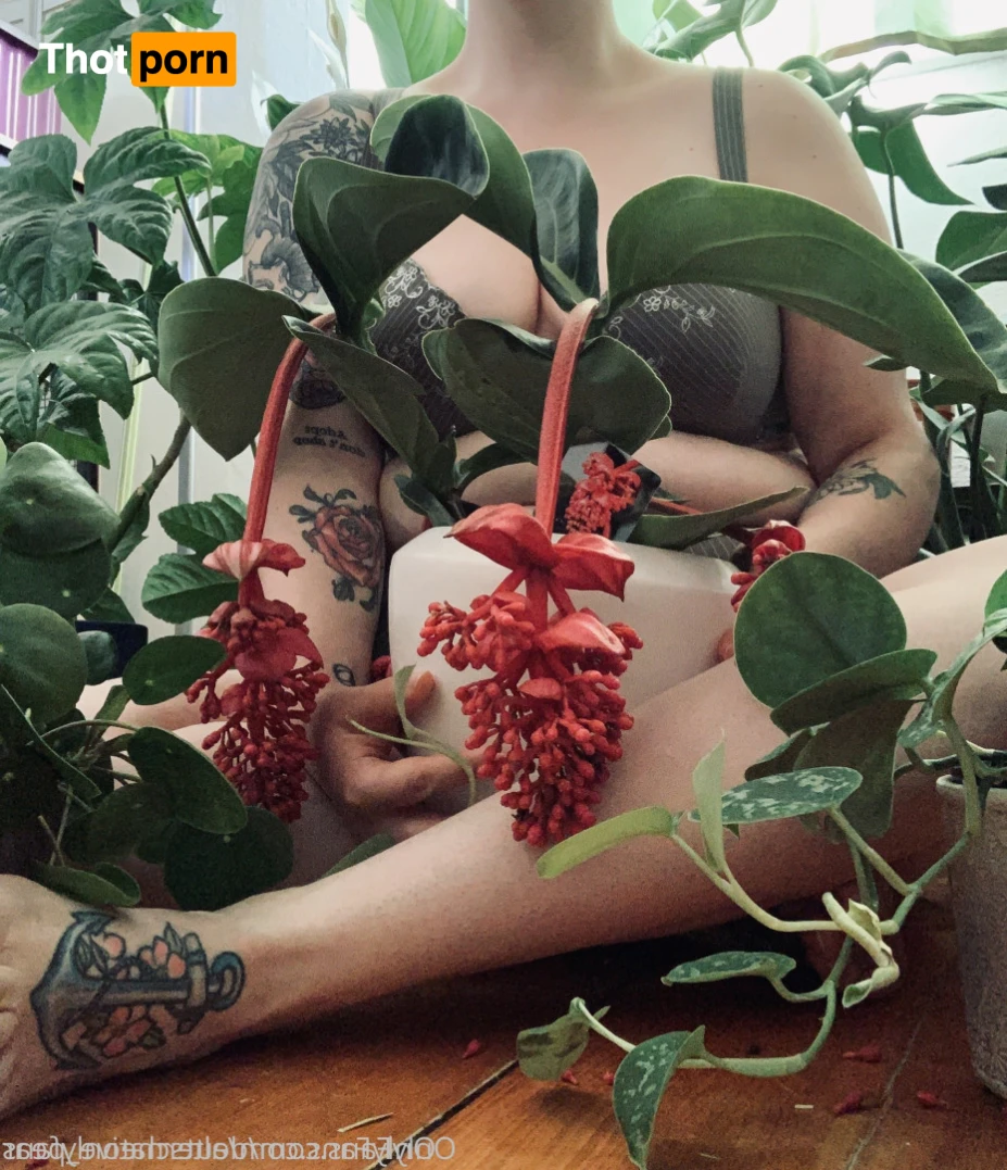 Deutsche Onlyfans 14078823