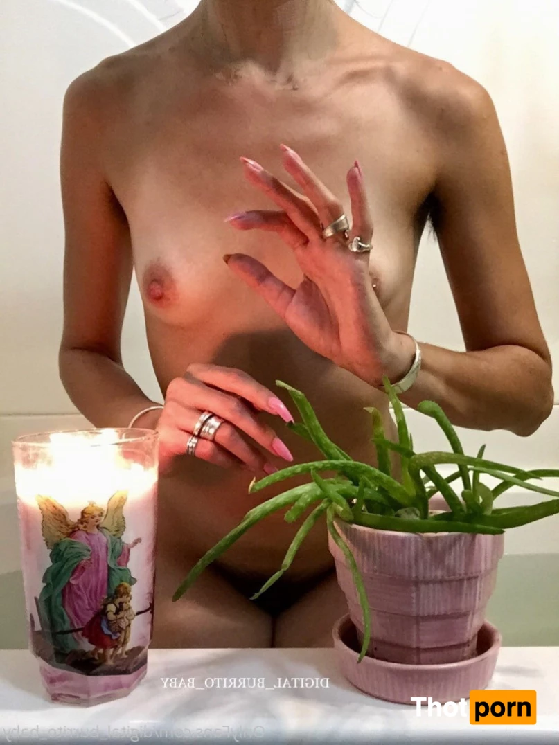 digital_burrito_baby 5611879