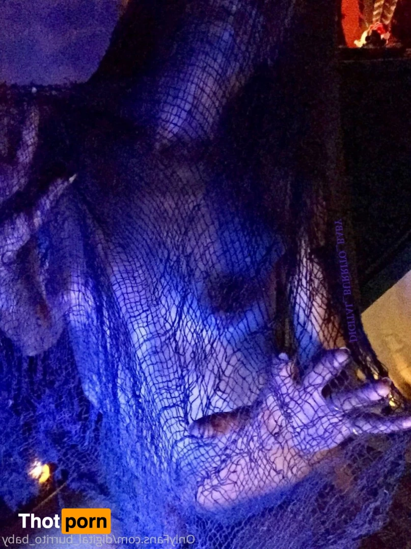 digital_burrito_baby 5611983