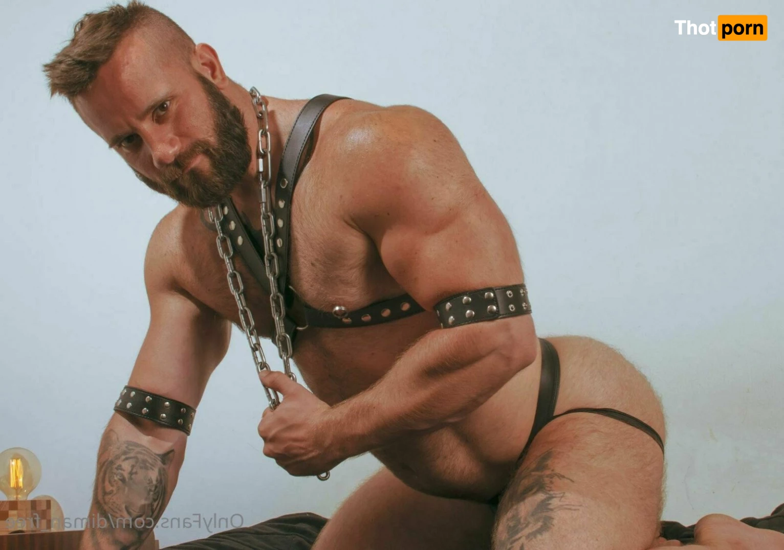 Diman_Fitboy_free 5095160