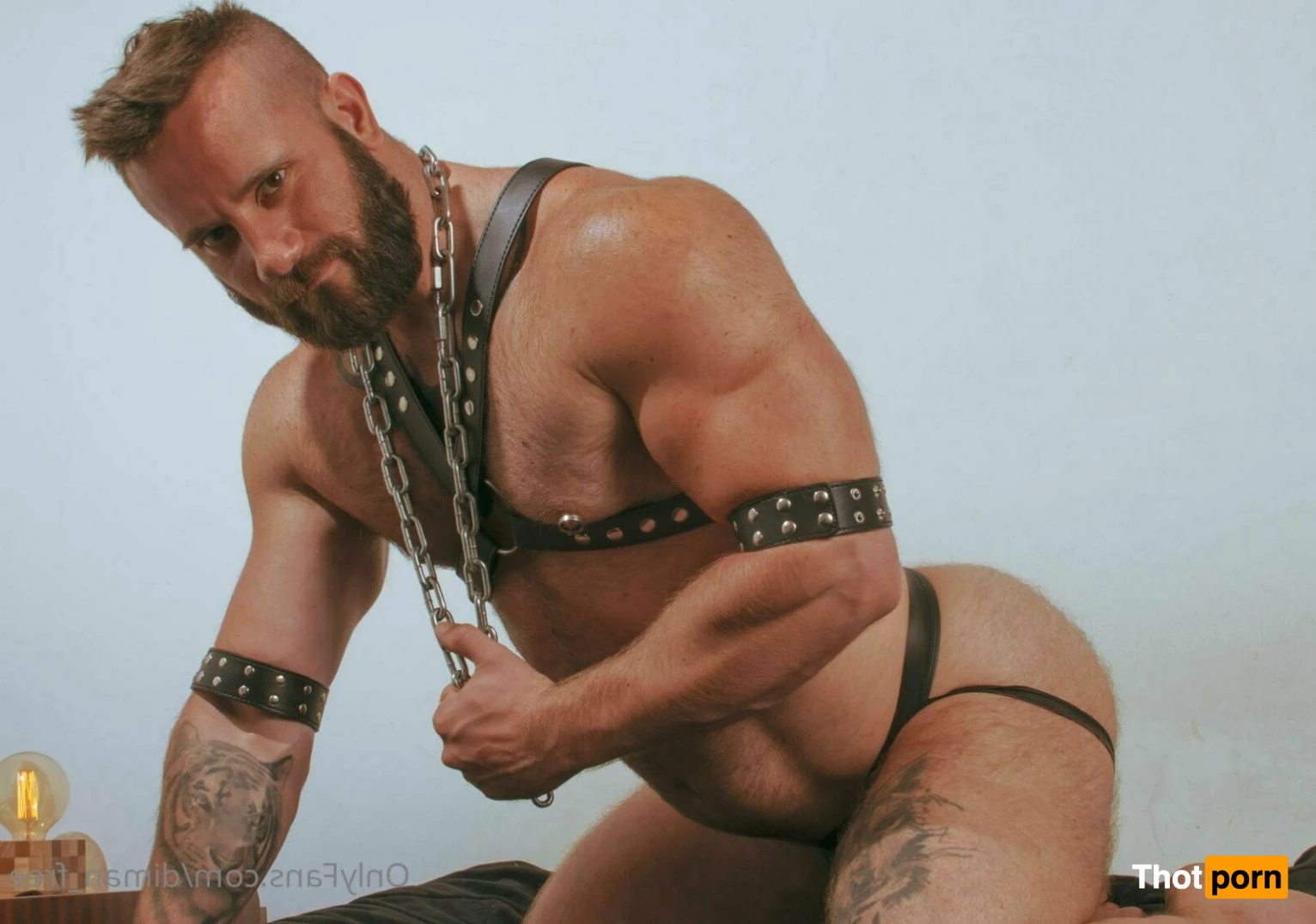 Diman_Fitboy_free 5095176