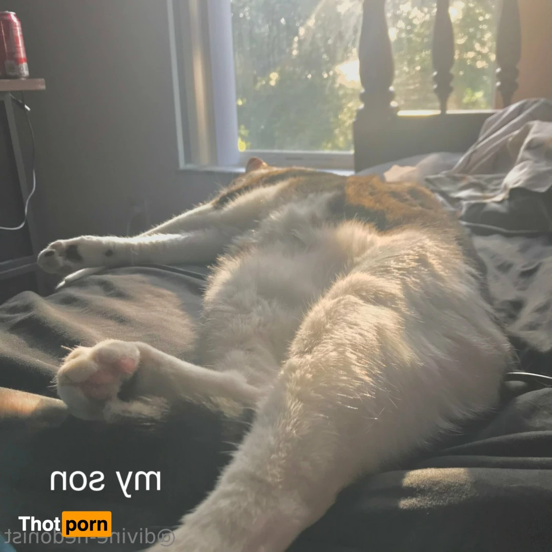 eva! 🥀 Feedee &amp; FFA 13316583