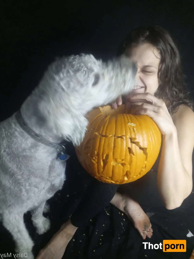 DoItWithDaisy 14043363