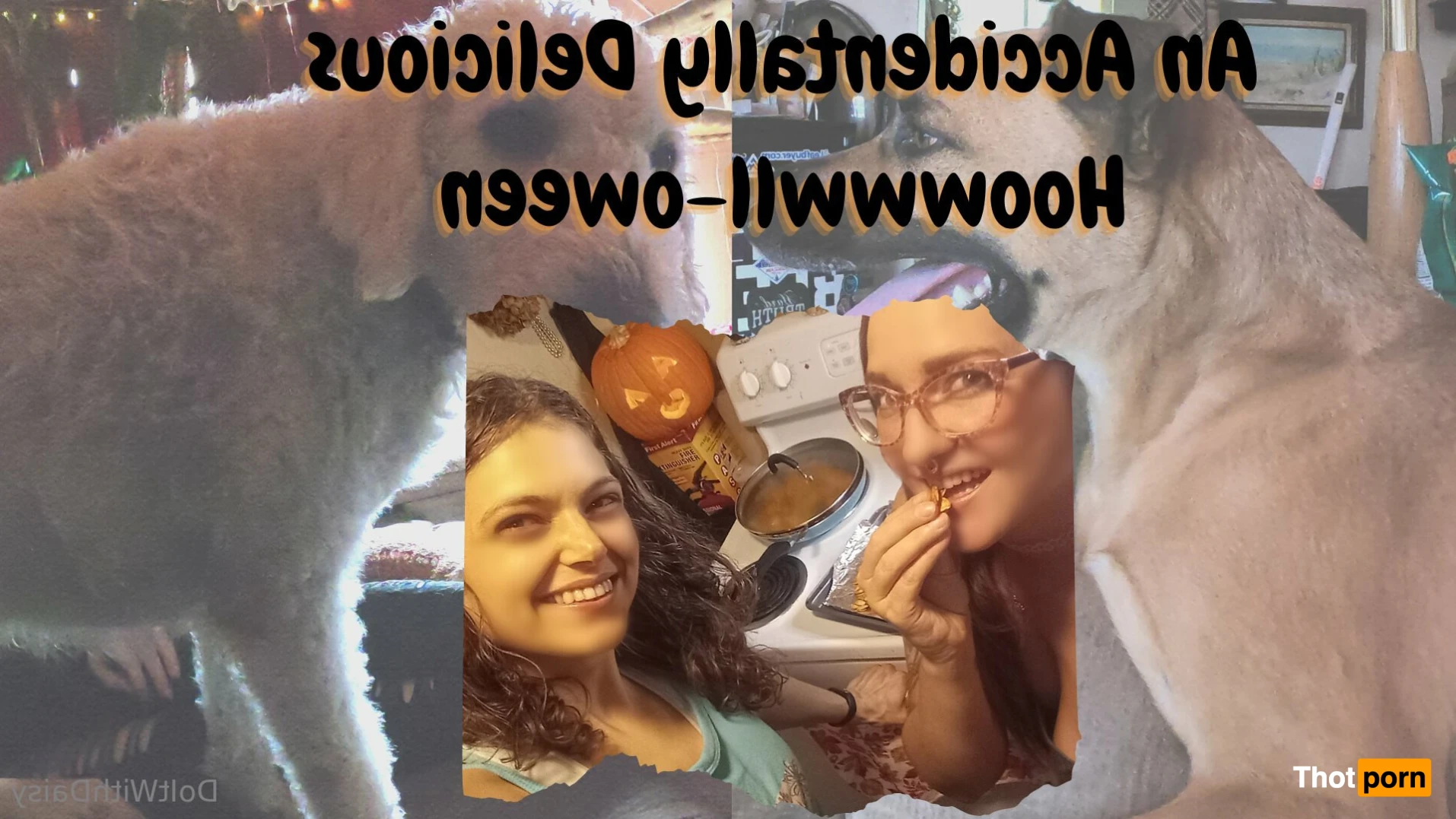 DoItWithDaisy 14043393