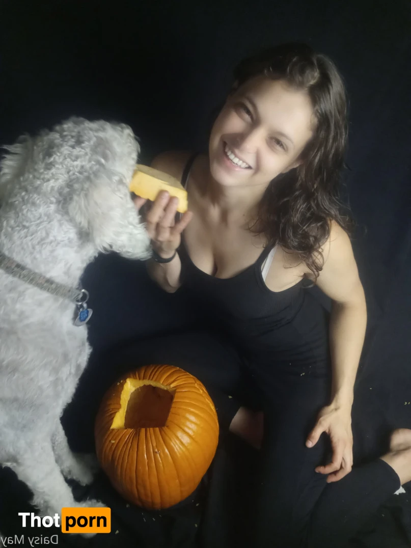 DoItWithDaisy 14373301