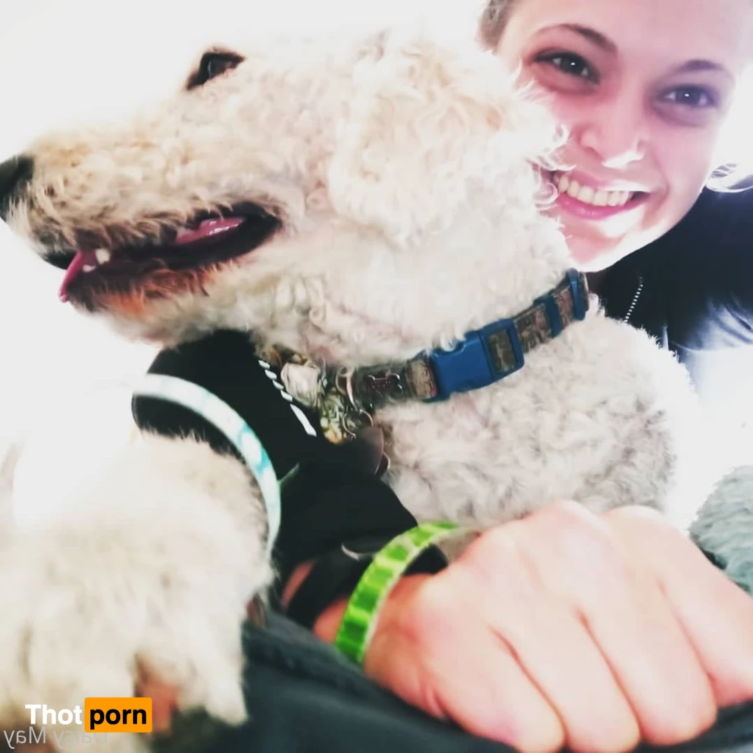 DoItWithDaisy 14410941