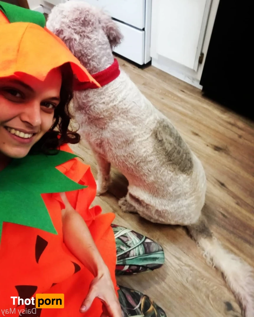 DoItWithDaisy 14420762