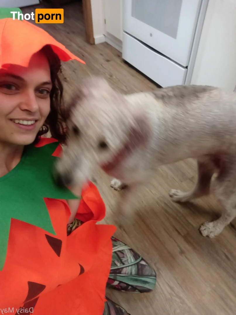 DoItWithDaisy 14438706