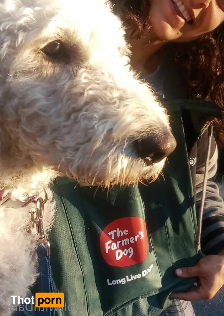 DoItWithDaisy 14440563