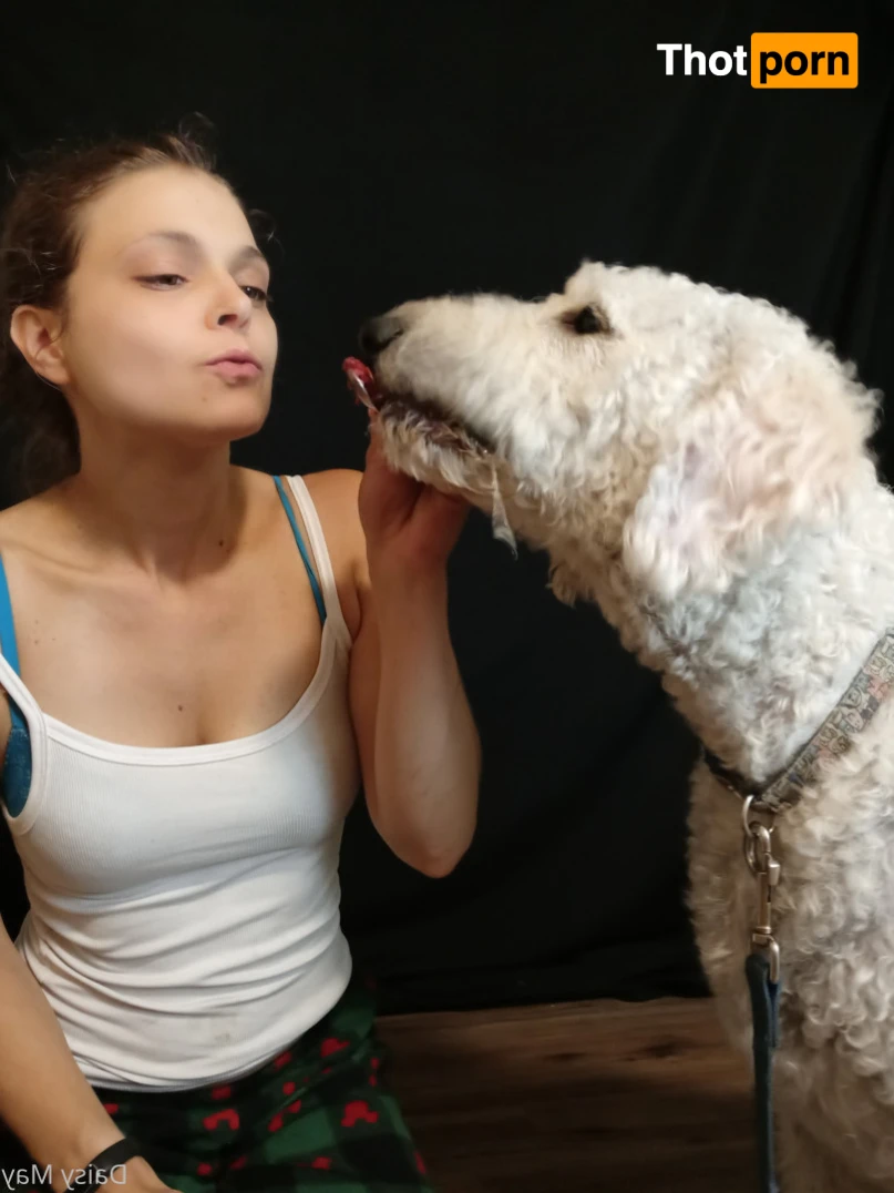 DoItWithDaisy 14453728