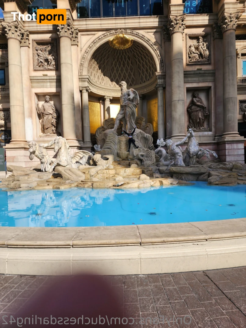 Duchess Darling 13297008