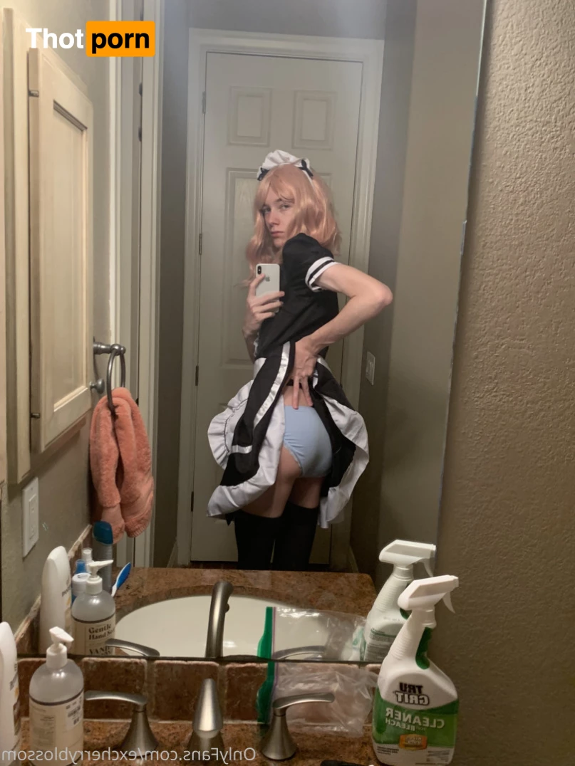 Cherry Blossom 5584922