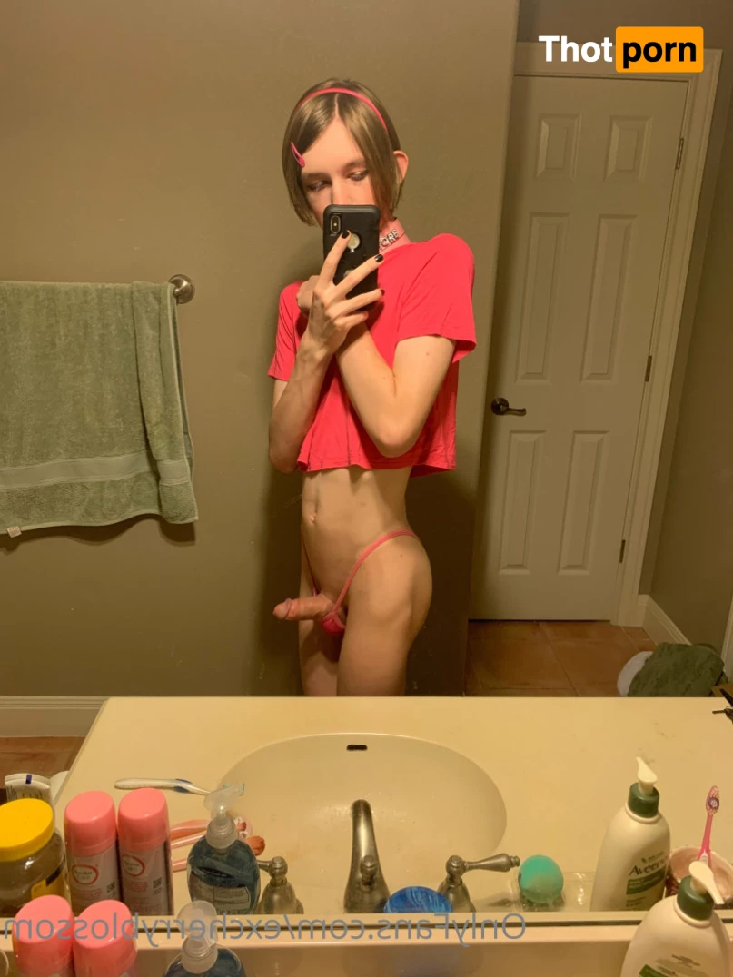 Cherry Blossom 5584939