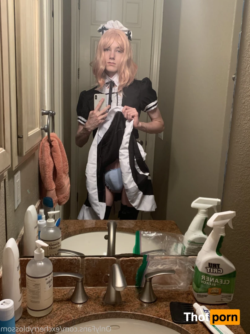 Cherry Blossom 5584948