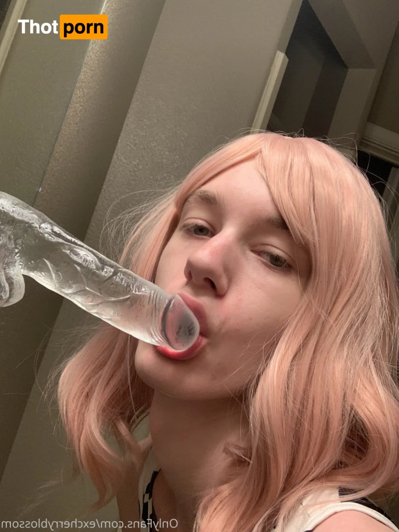 Cherry Blossom 5584956