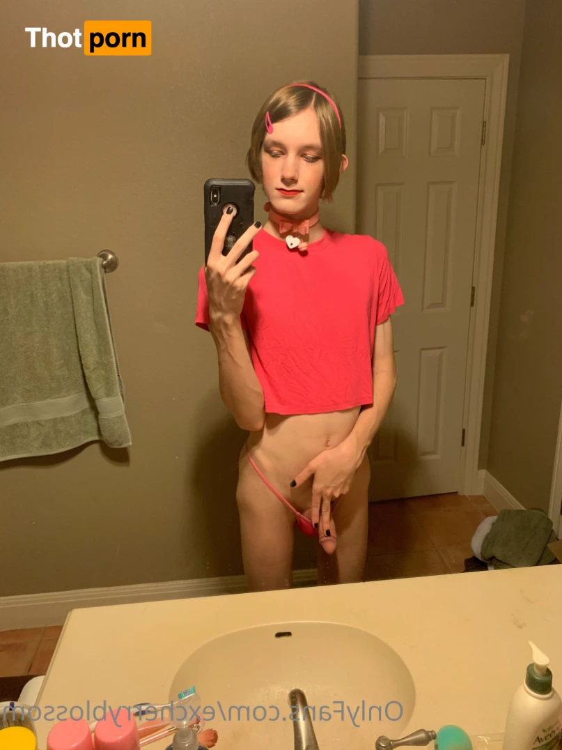 Cherry Blossom 5584962