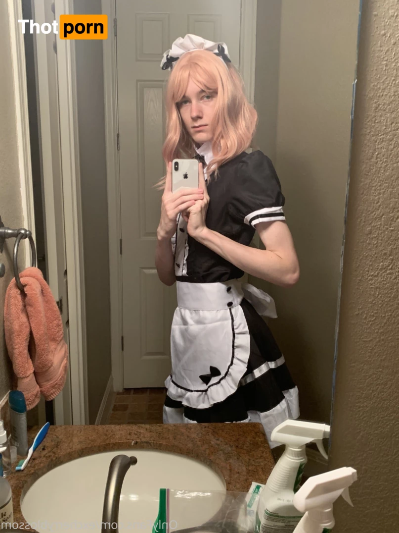 Cherry Blossom 5584977