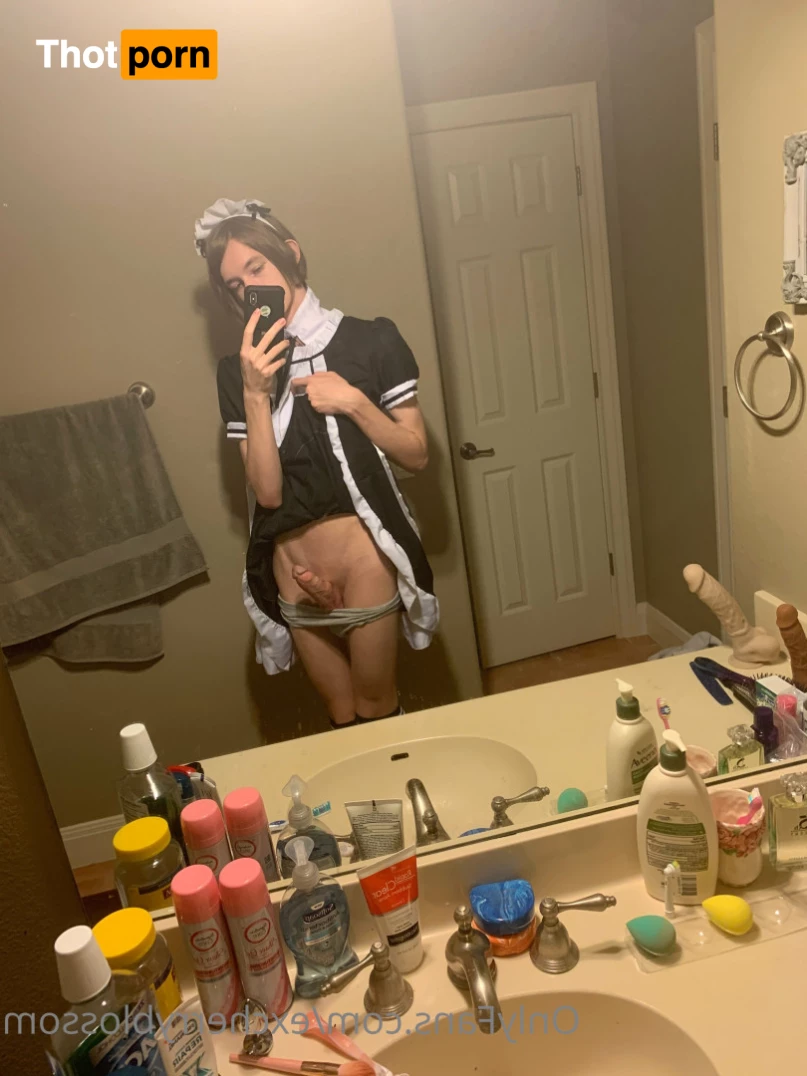 Cherry Blossom 5585022