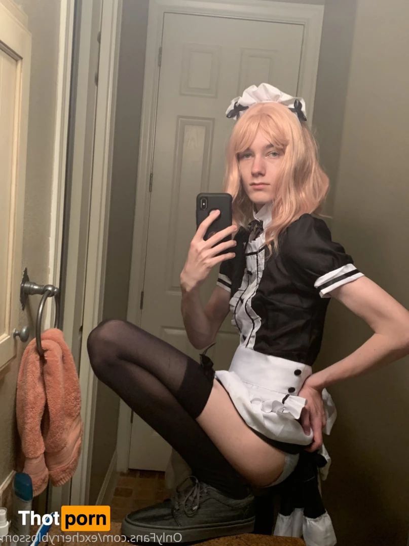 Cherry Blossom 5585038