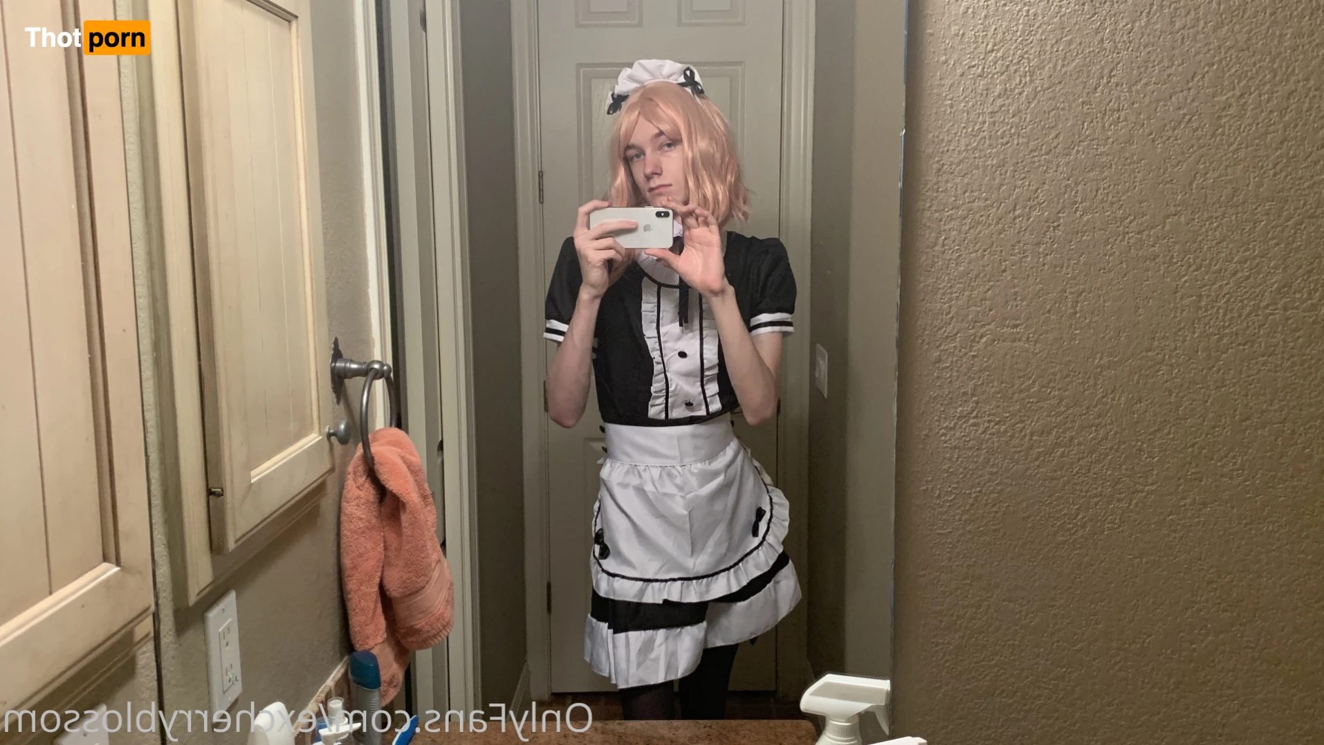 Cherry Blossom 5585046