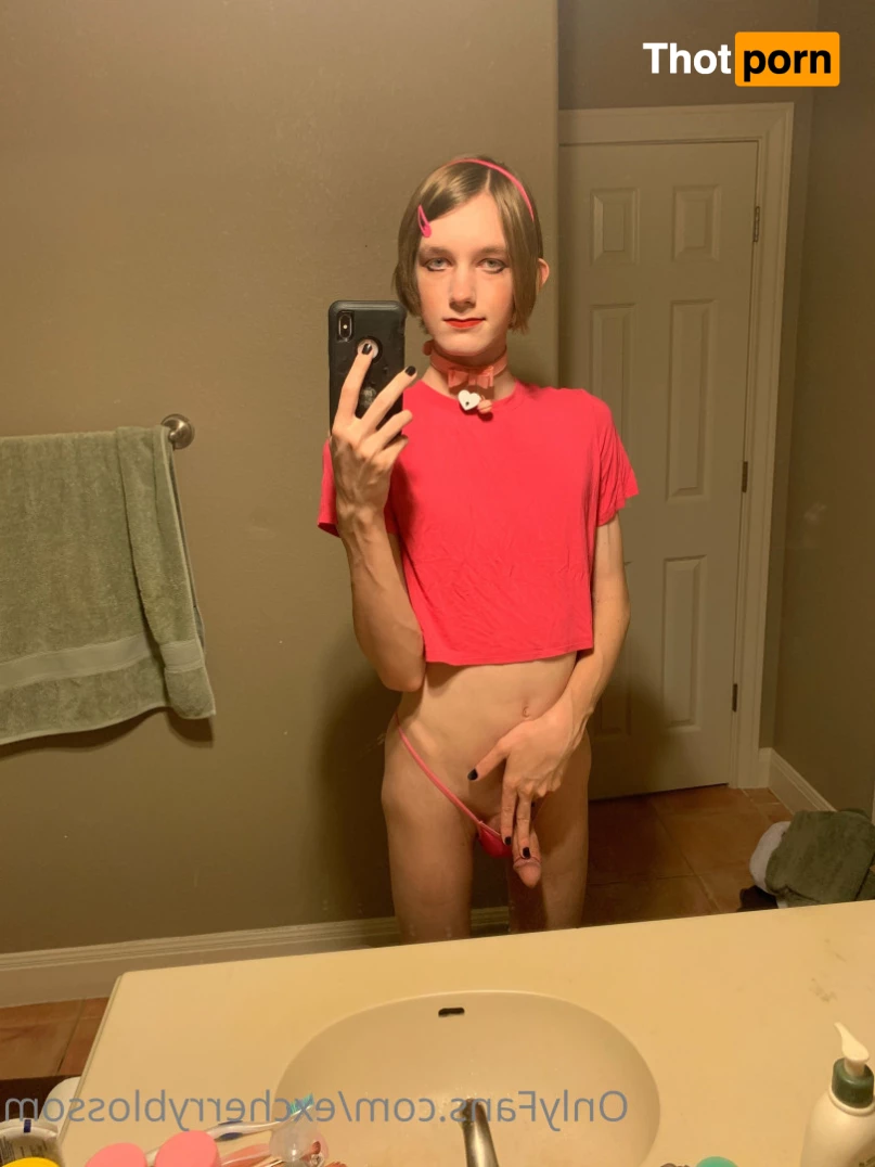 Cherry Blossom 5585086