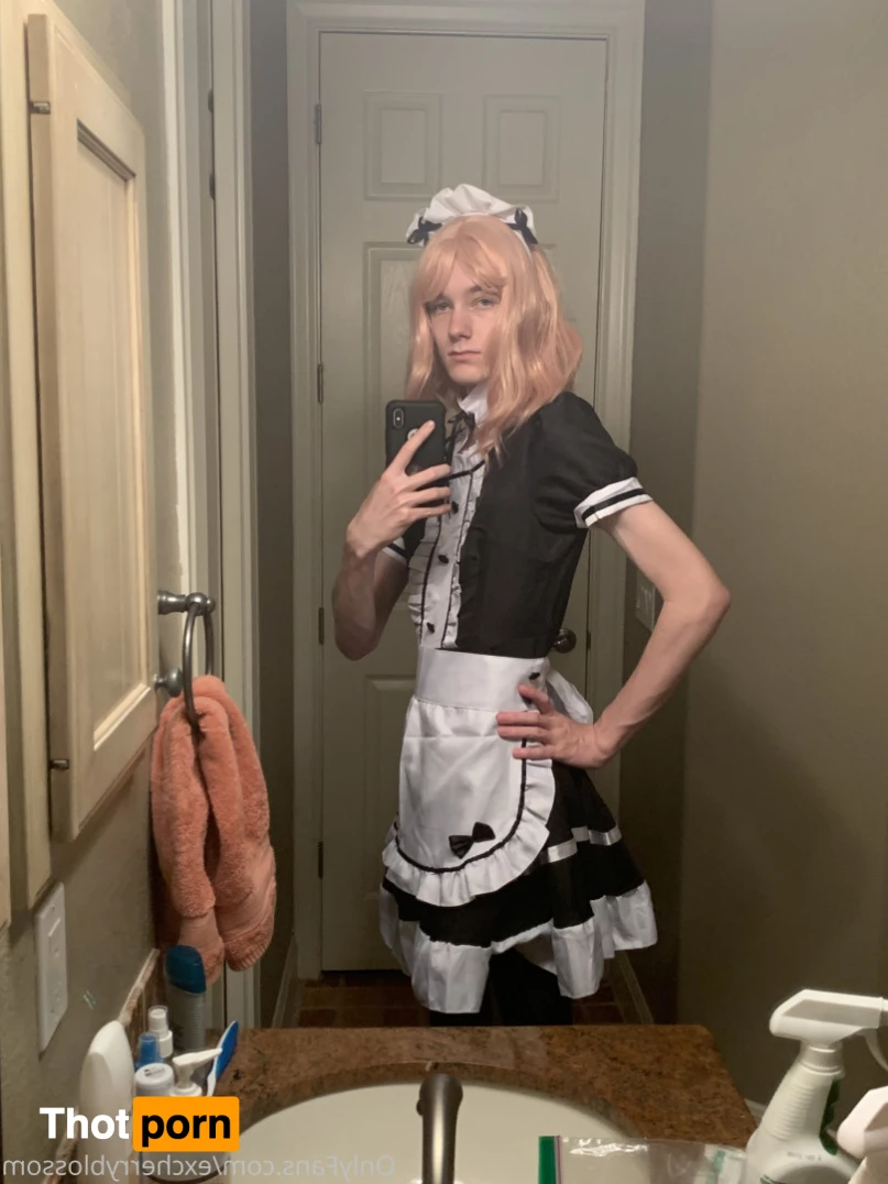 Cherry Blossom 5585094