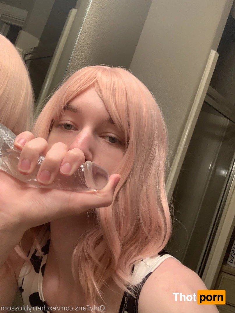 Cherry Blossom 5585142