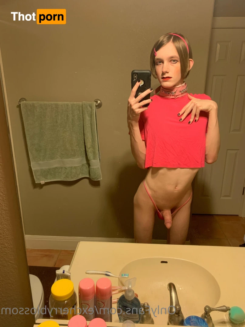 Cherry Blossom 5585150