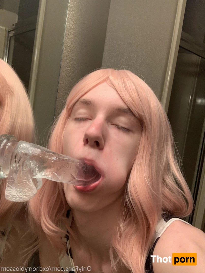 Cherry Blossom 5585158