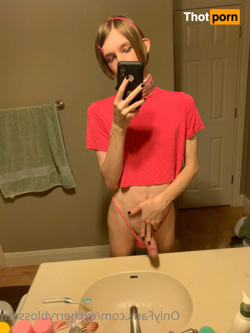 Cherry Blossom 5585166