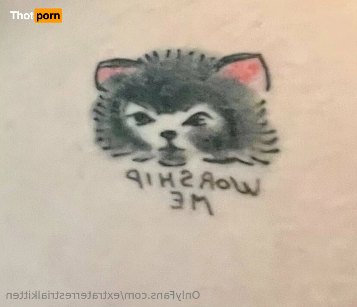 extraterrestrialkitten 13946500