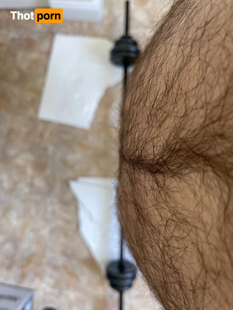 Big Fat Bear 5102591