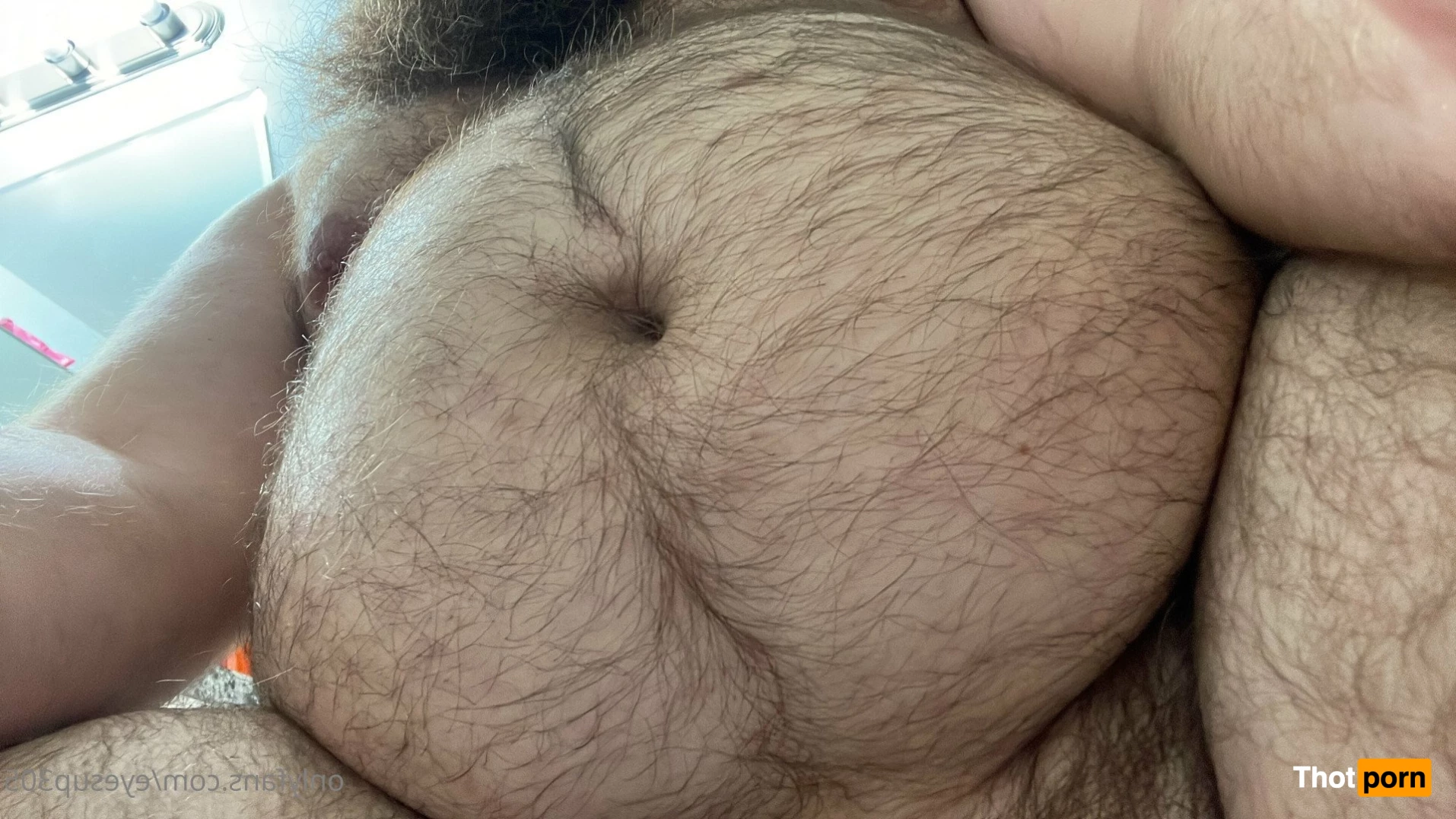 Big Fat Bear 5102626