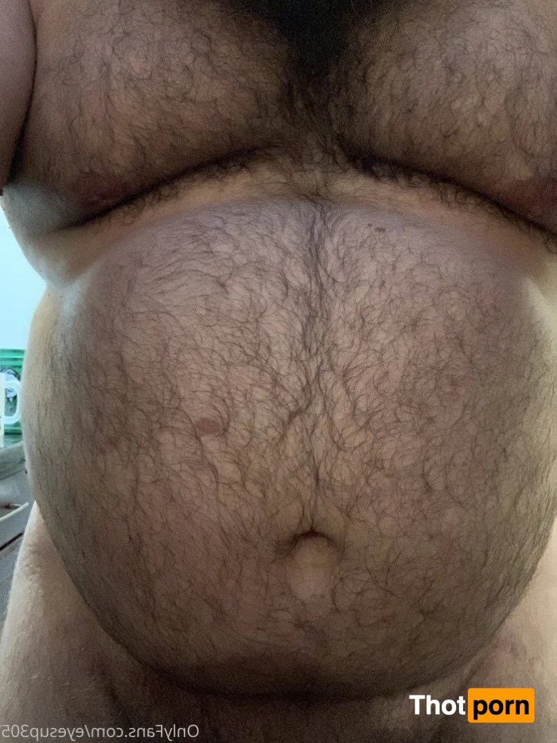 Big Fat Bear 5102647