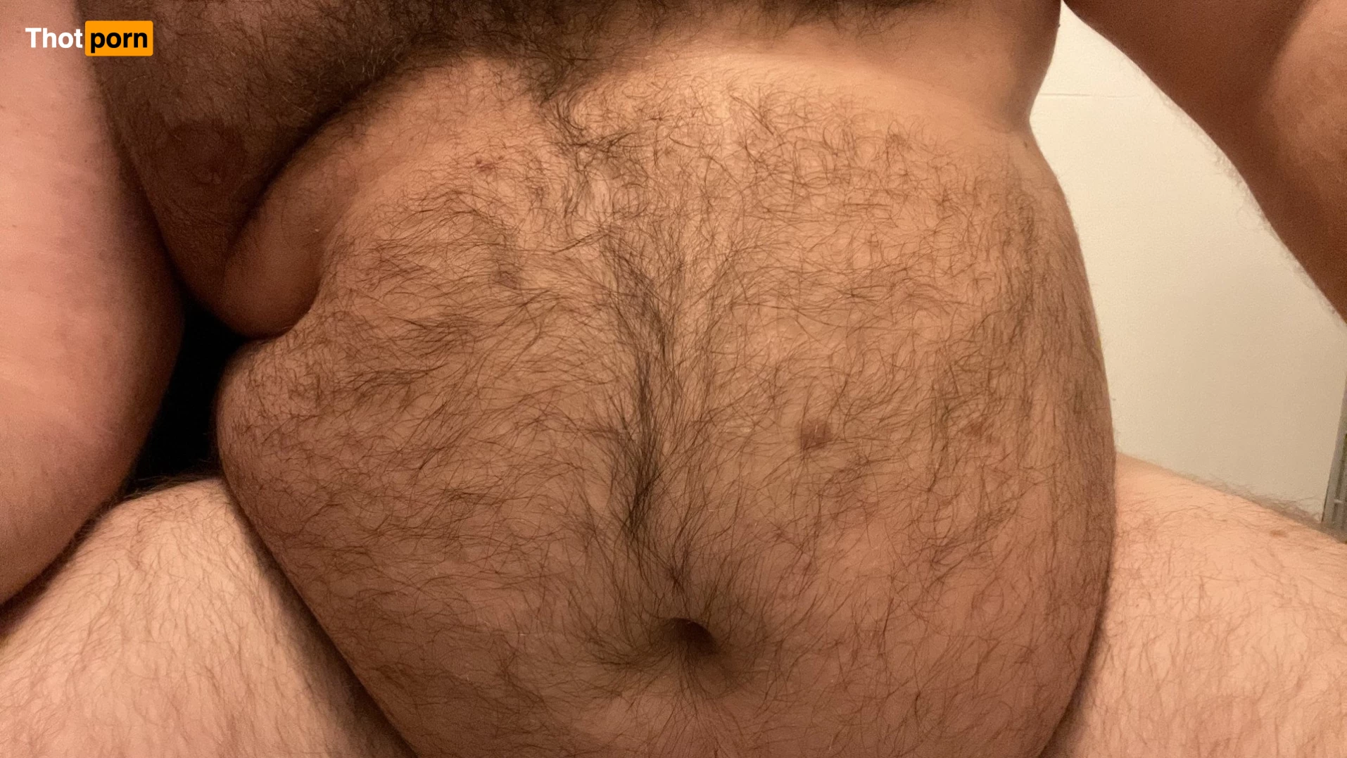 Big Fat Bear 5102661