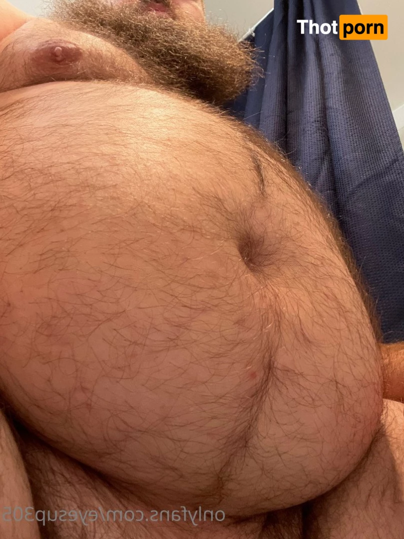 Big Fat Bear 5102673