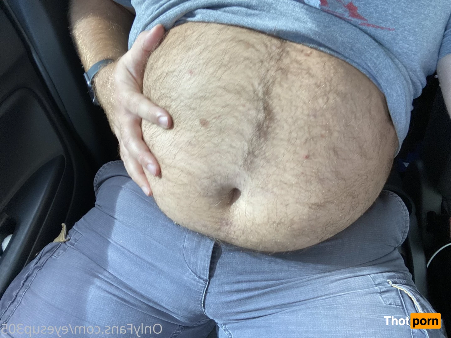 Big Fat Bear 5102697