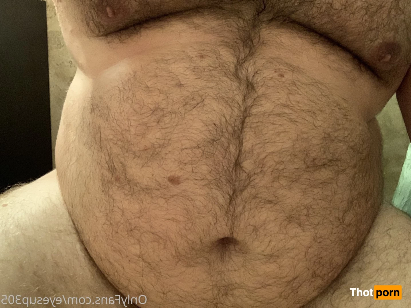 Big Fat Bear 5102711