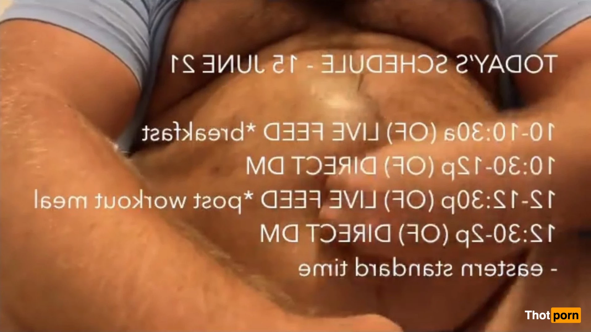 Big Fat Bear 5102745