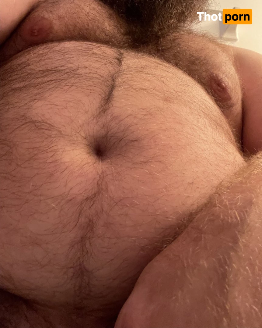 Big Fat Bear 5102761