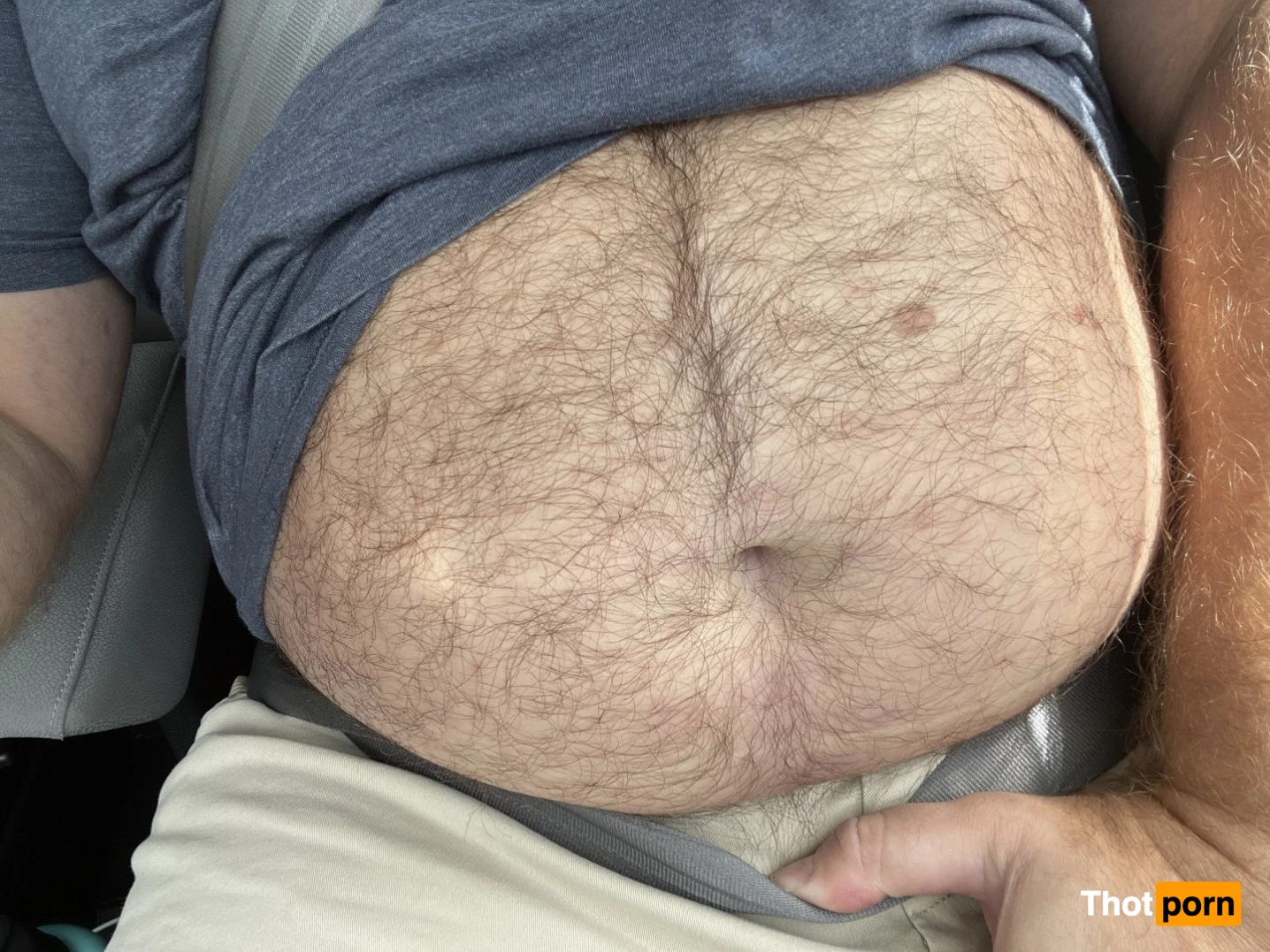 Big Fat Bear 5102779